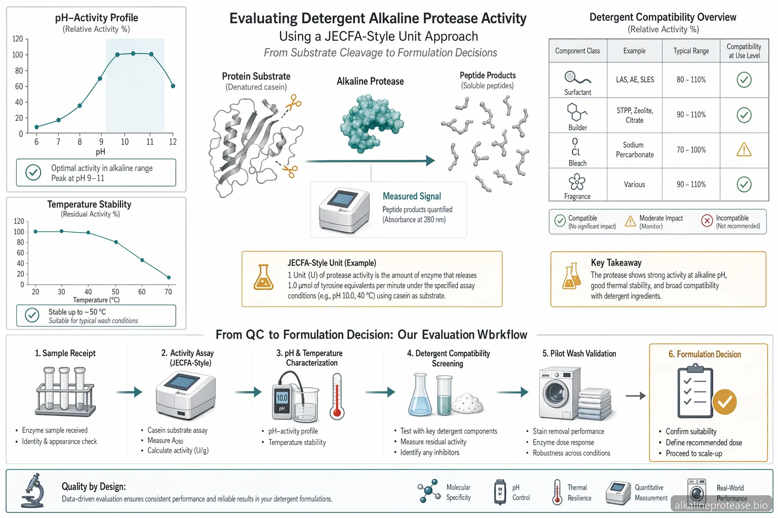 Detergent Alkaline Protease Unit JECFA Process Guide — process diagram